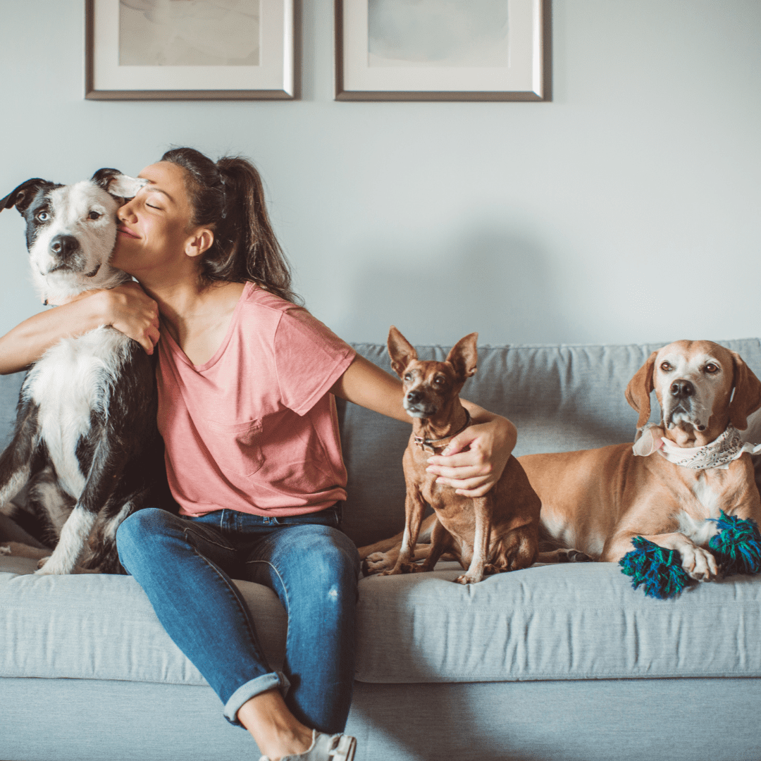 Happy Girl with 3 dogs