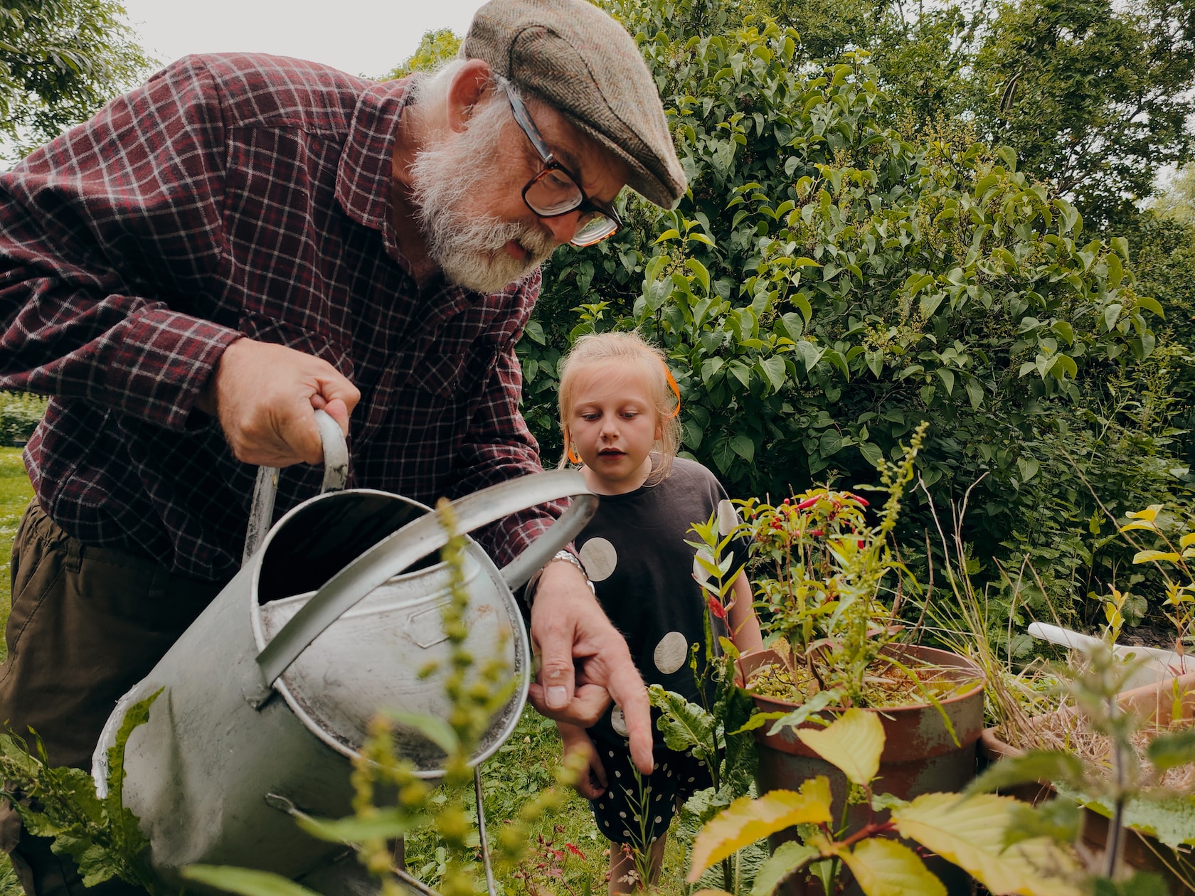 Klok your special moments like: grandfather and the child looking at a plant