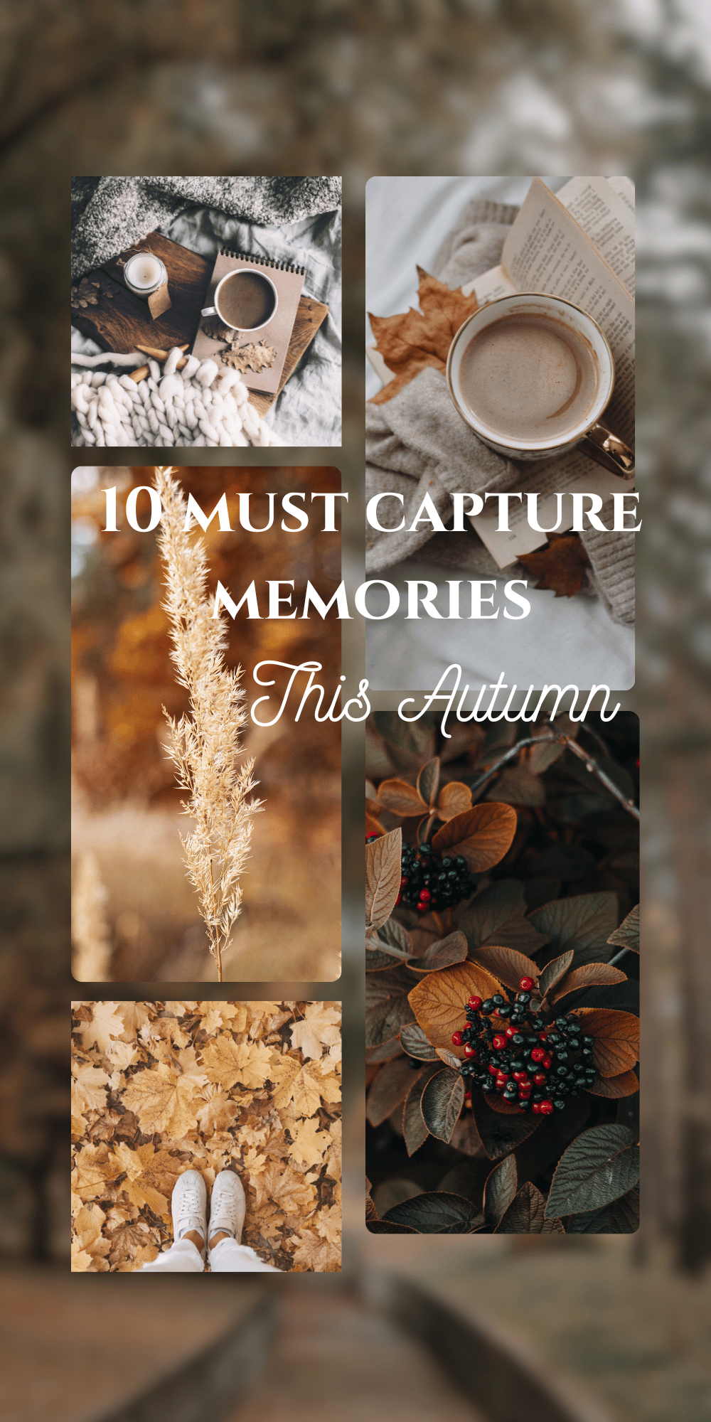 10 Must Capture Memories This Autumn
