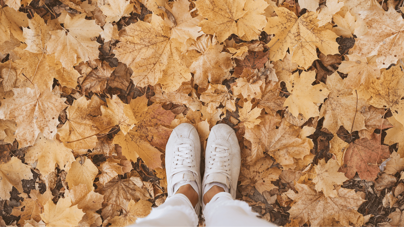 fall. Autumn. capture your fall memories.
