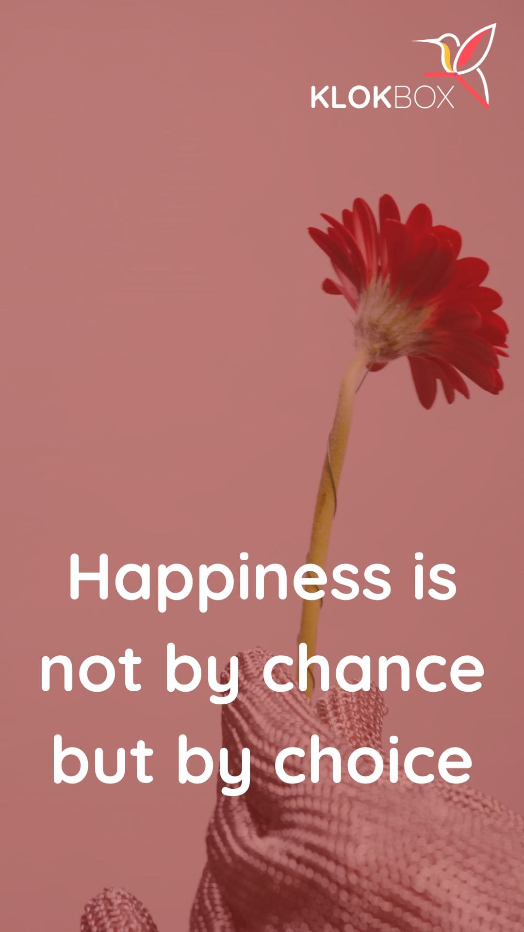 Happiness is not by chance but by choice