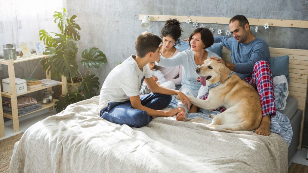 A close-knit family of four, including two parents and two children, sits together on a bed with a large, friendly dog. The parents are seated on either side of the children, with one child on the father's lap and the other next to the mother. The mother lovingly brushes the face of her son while the dog lays beside them, adding to the peaceful and affectionate atmosphere. The room is bright with natural light coming through large windows, with plants in the background, creating a cozy and nurturing environment.